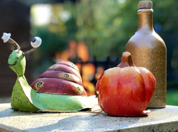 Garden design studio